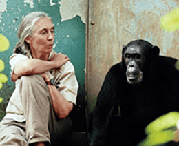 jane-goodallhome