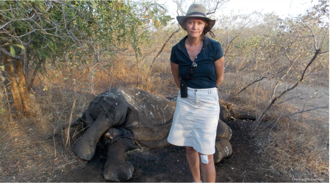 Vergniault1 Courtesy SOS Elephants