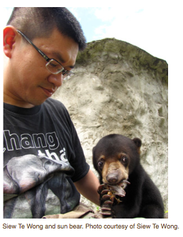 sunbear