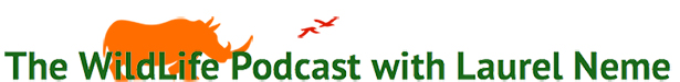 *vsm rhino birds words no white *vsm rhino birds words no white
