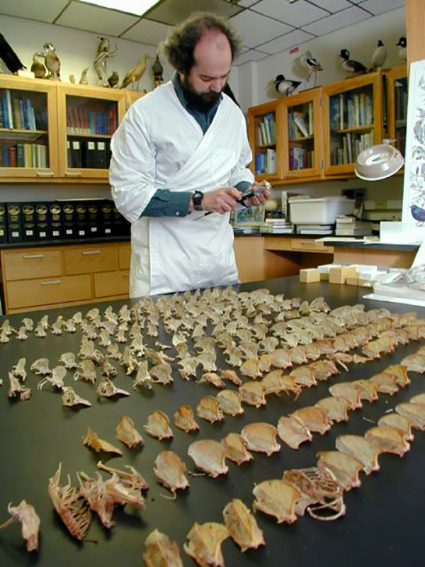 pepperbirdbones pepperbirdbones