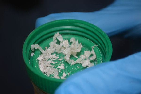 wildlifeForensicsCap wildlifeForensicsCap